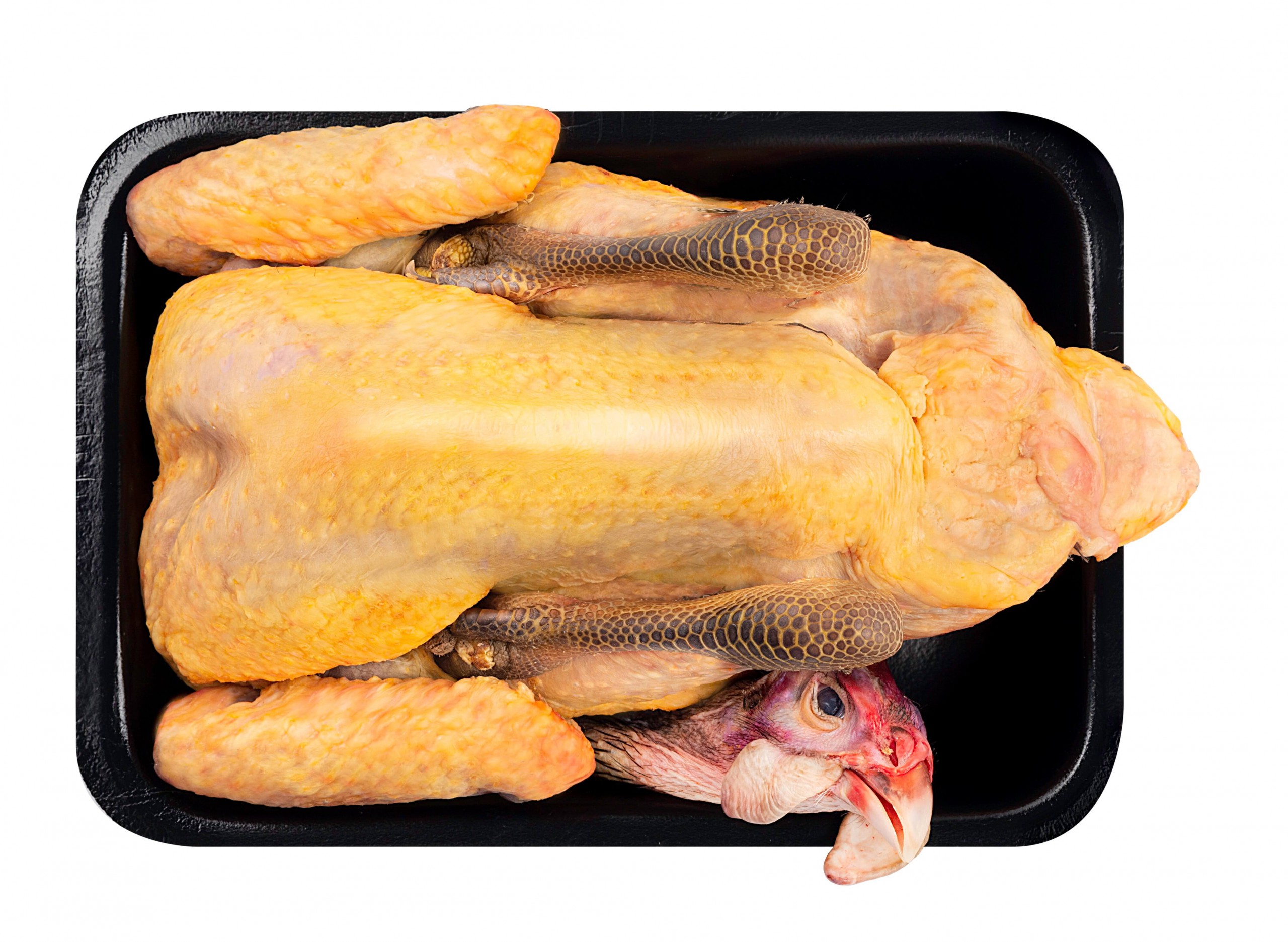 Faraona Gran Selezione intera